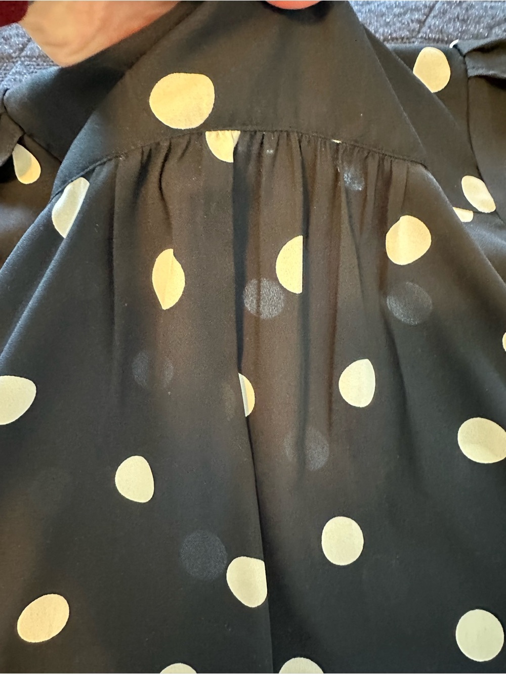 Loft Navy and Cream Polka Dot Blouse - Picture 6 of 6
